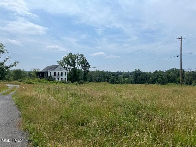 35 Pulcher, photo 5
