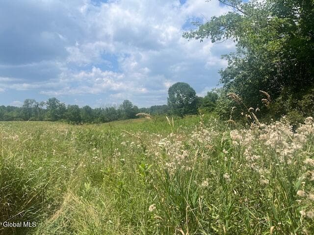 270 Clove Road, Schodack, NY, photo 4
