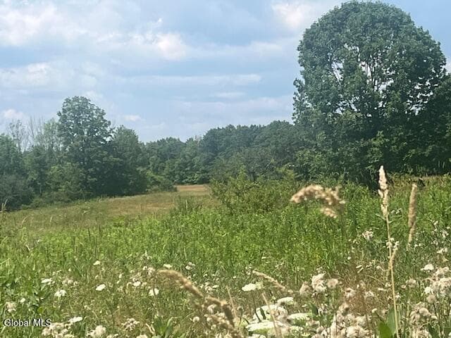 270 Clove Road, Schodack, NY, photo 5