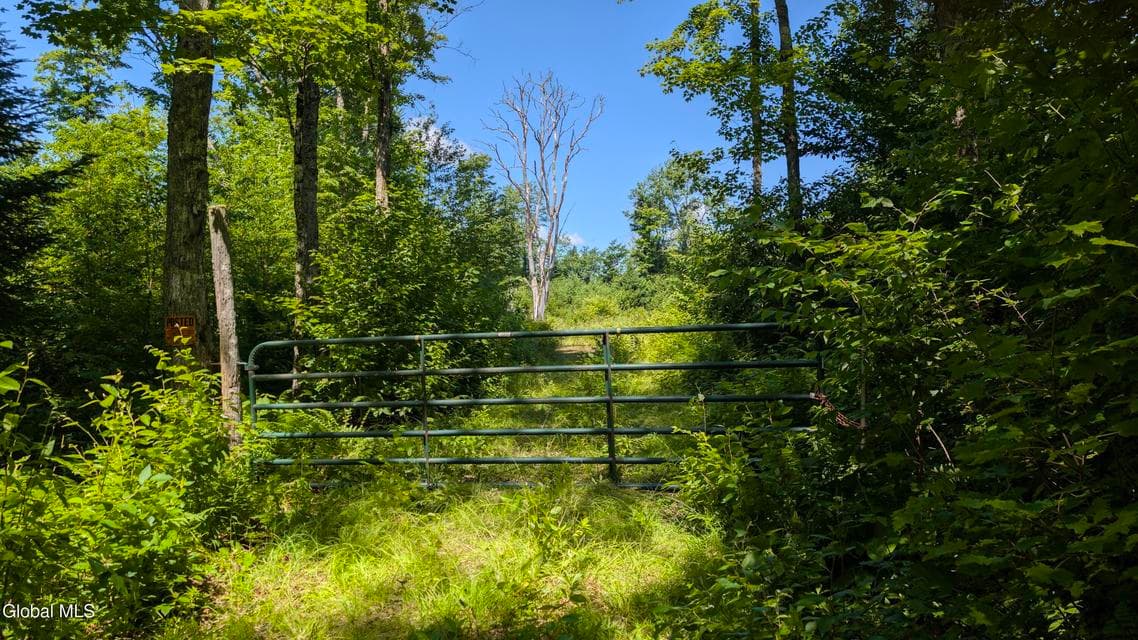 10279 Adirondack Trail, Malone, NY, photo 3