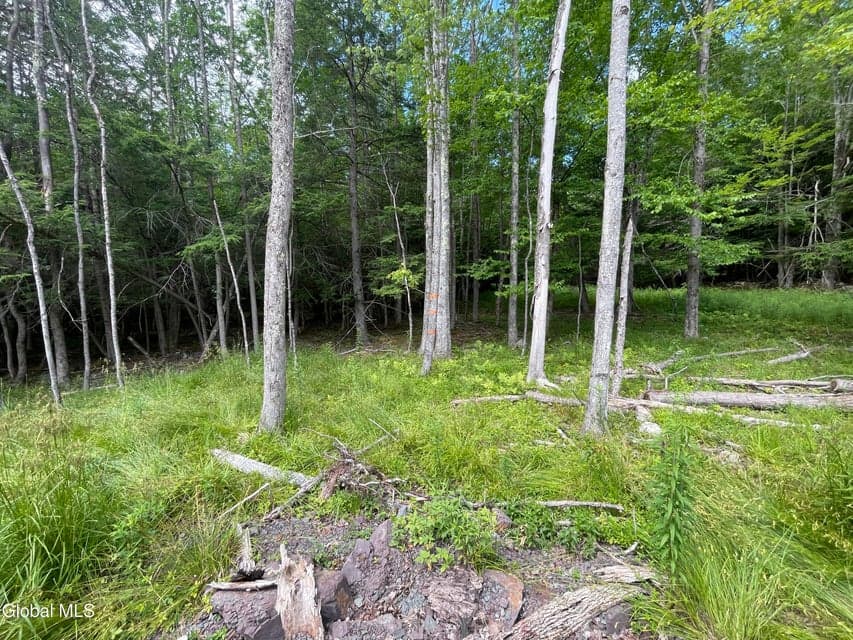 TBD Boulder brook Road, photo 3