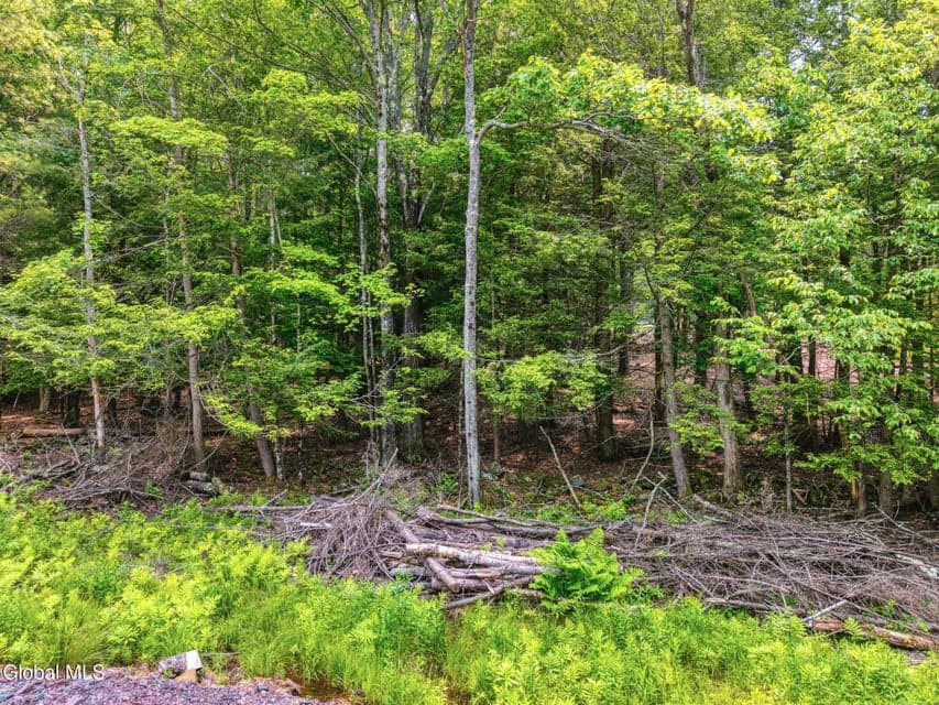 TBD Boulder Brook Road, photo 3