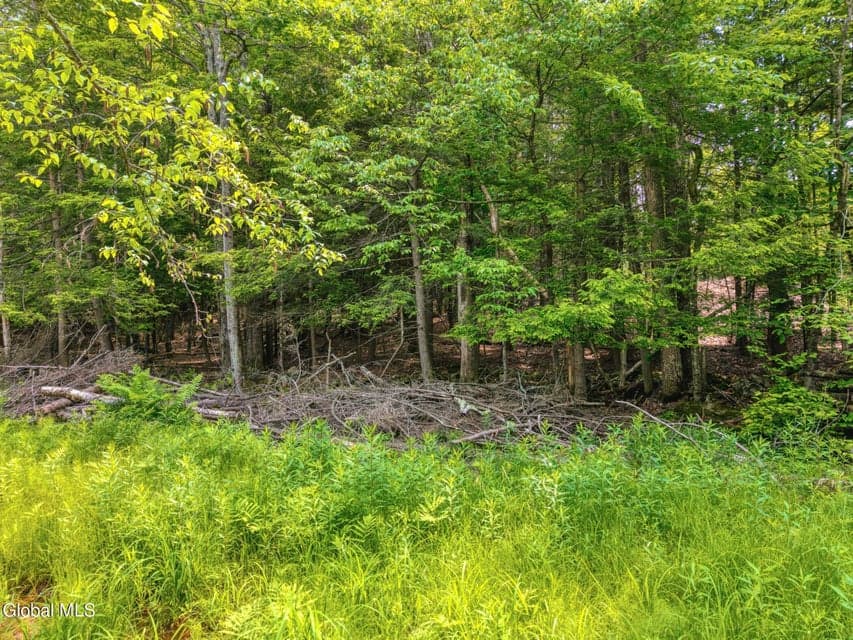TBD Boulder Brook Road, photo 5