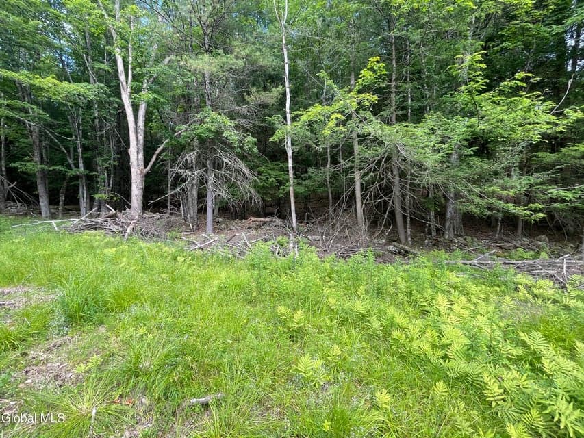 TBD Boulder Brook Road, photo 4