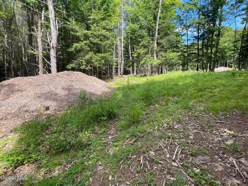 TBD Boulder Brook Road, photo 5