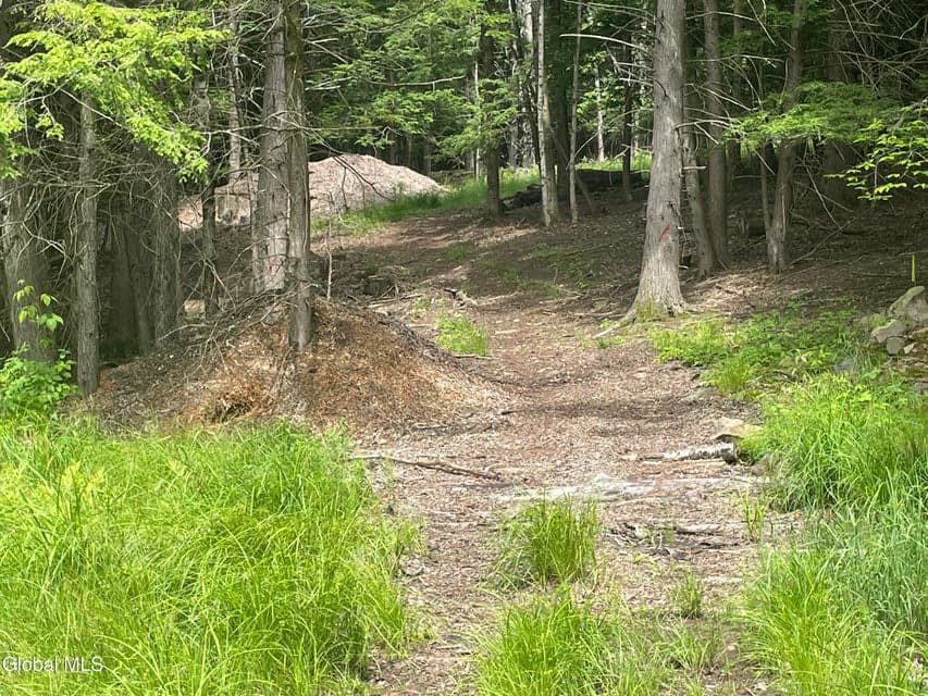 TBD Boulder Brook Road, photo 4