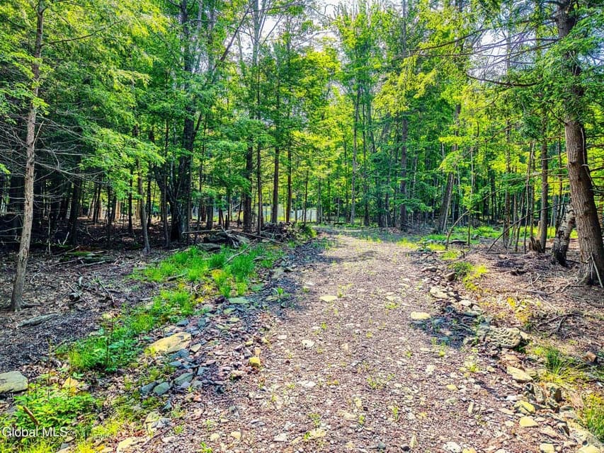 TBD Boulder Brook Road, photo 5