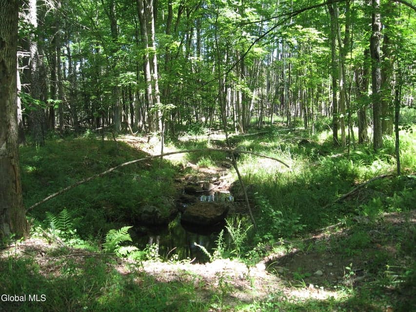 1260 Valentine Pond Road, Horicon, NY, photo 1