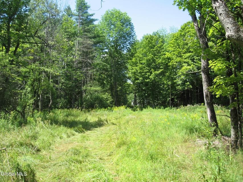 1260 Valentine Pond Road, Horicon, NY, photo 3
