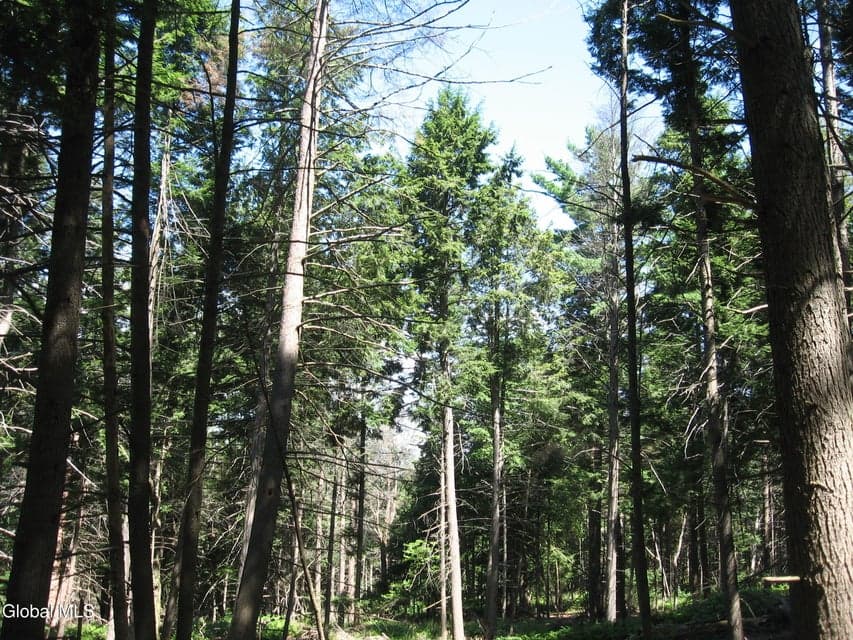1260 Valentine Pond Road, Horicon, NY, photo 4