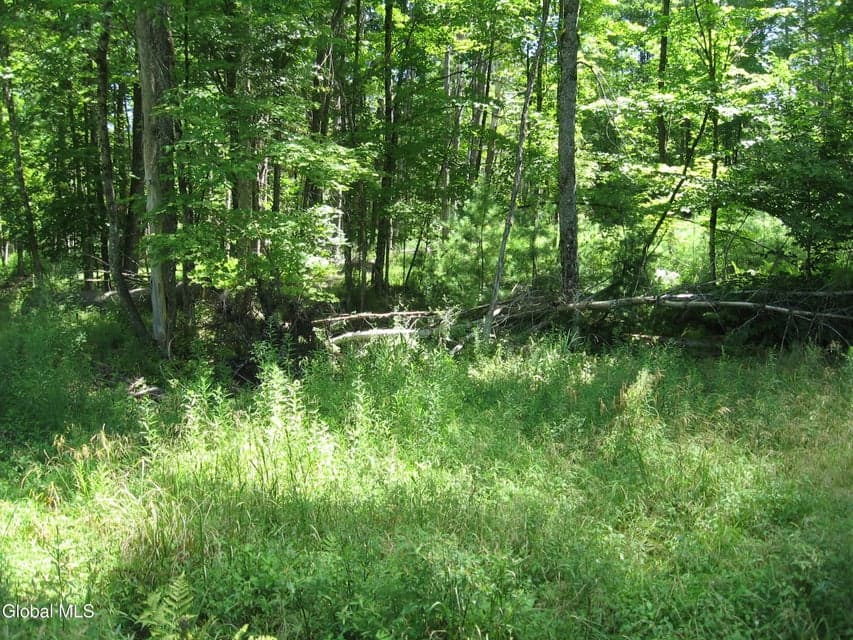 1260 Valentine Pond Road, Horicon, NY, photo 5