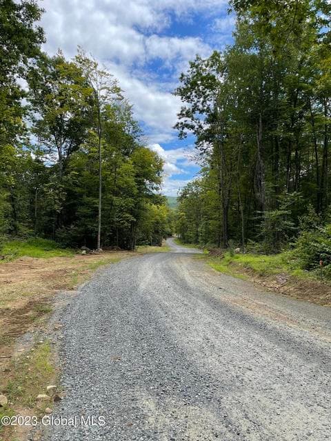 3 Adk Acres prvt. Road, photo 5