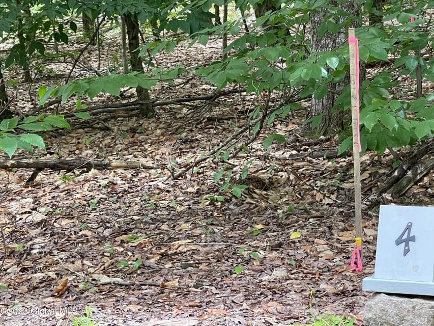 4 Adk Acres prvt. Road, photo 4
