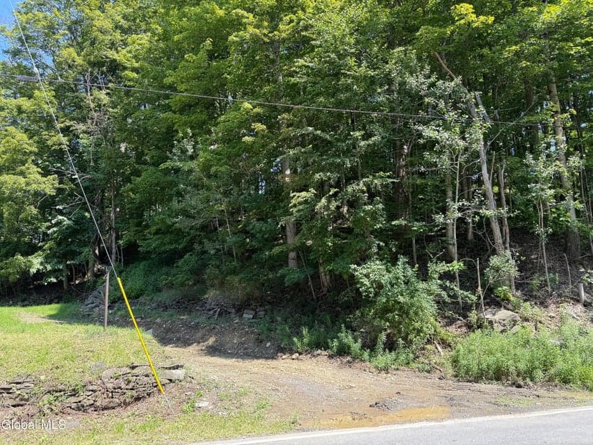 1499 Huntersland Road, Middleburgh, NY, photo 2