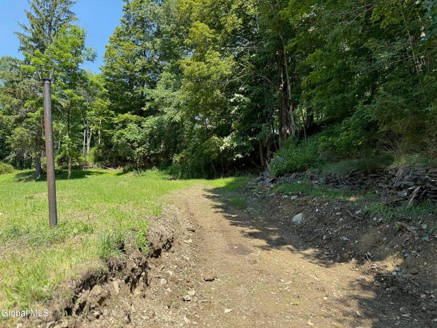 1499 Huntersland Road, Middleburgh, NY, photo 3