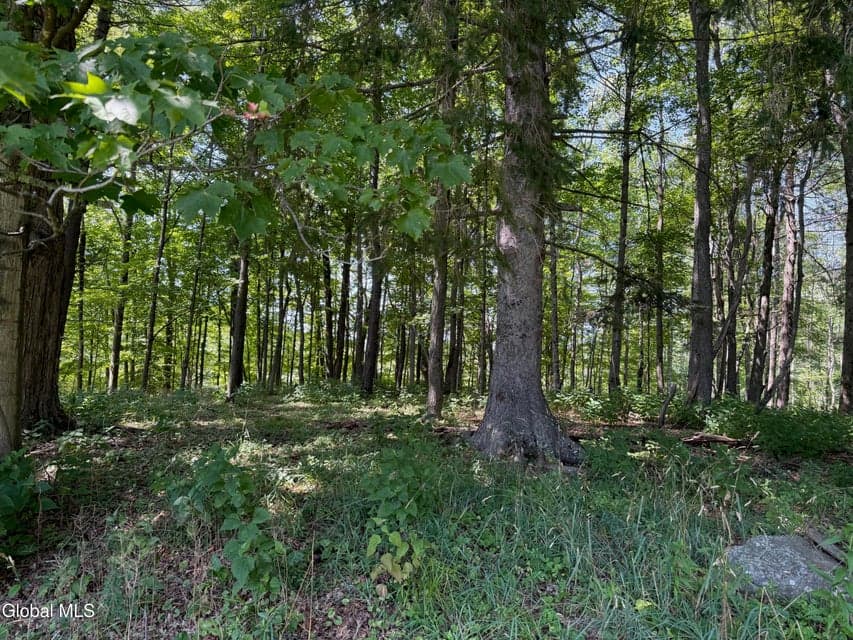 1499 Huntersland Road, Middleburgh, NY, photo 5