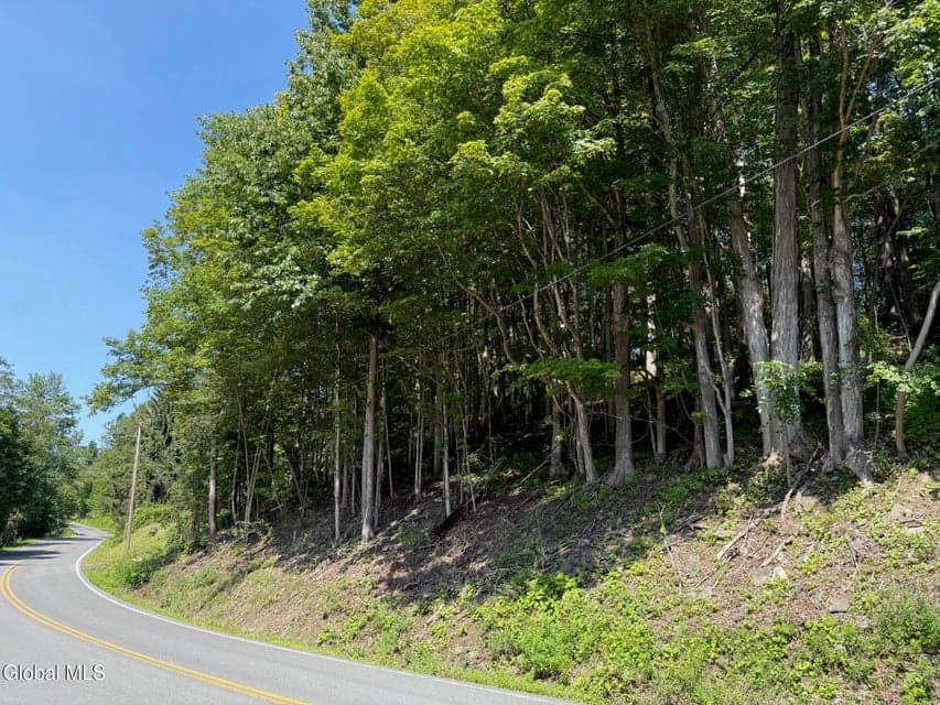 1499 Huntersland Road, Middleburgh, NY, photo 4