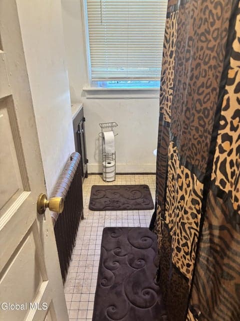 10 Wilkins Avenue, Albany, NY 12206, photo 3