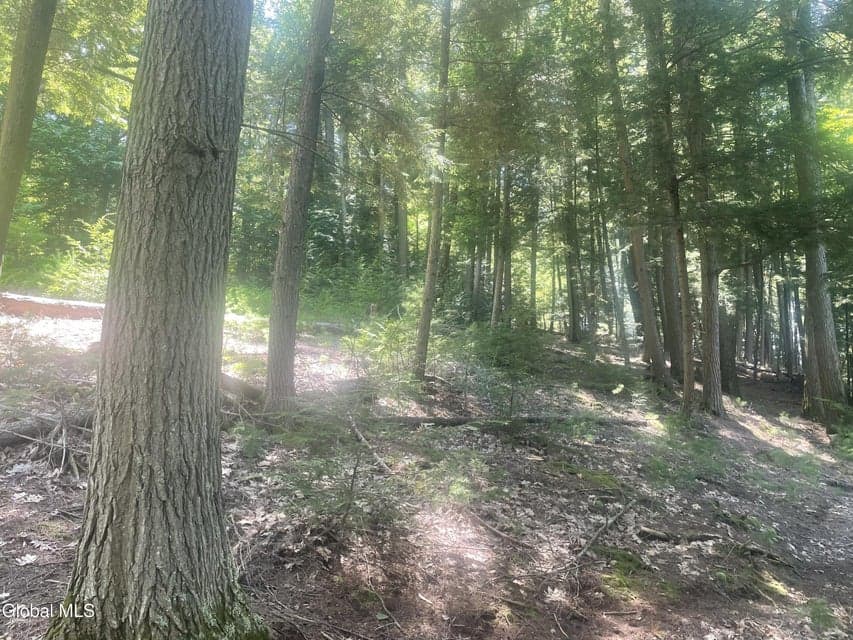 L34 Mountain Lane, photo 3