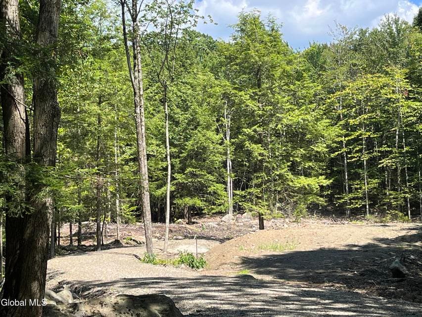 541 Taborton Road, Sand Lake, NY, photo 4