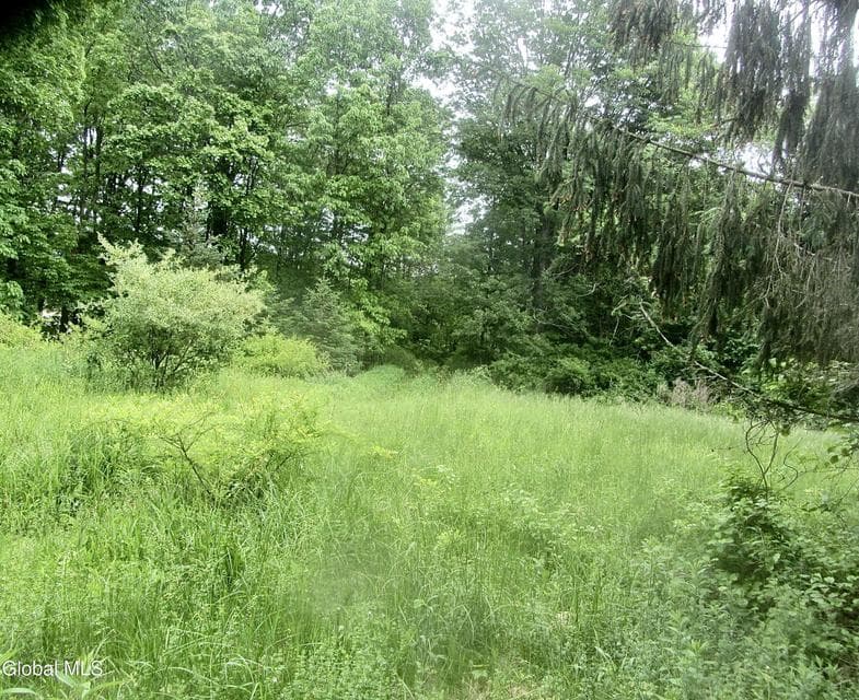 L23.2 Unionville Feura Bush Road, photo 3