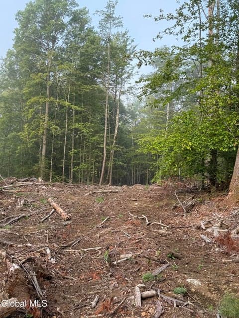 336 Dickinson Hill Road, Bolton, NY, photo 1