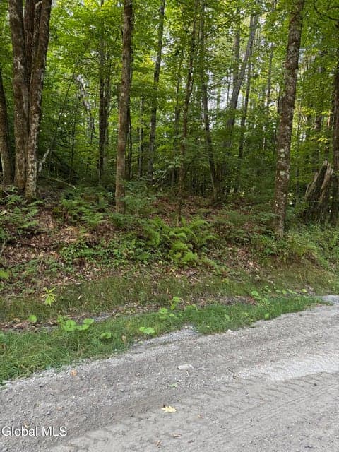 362 Dickinson Hill Road, Bolton, NY, photo 2