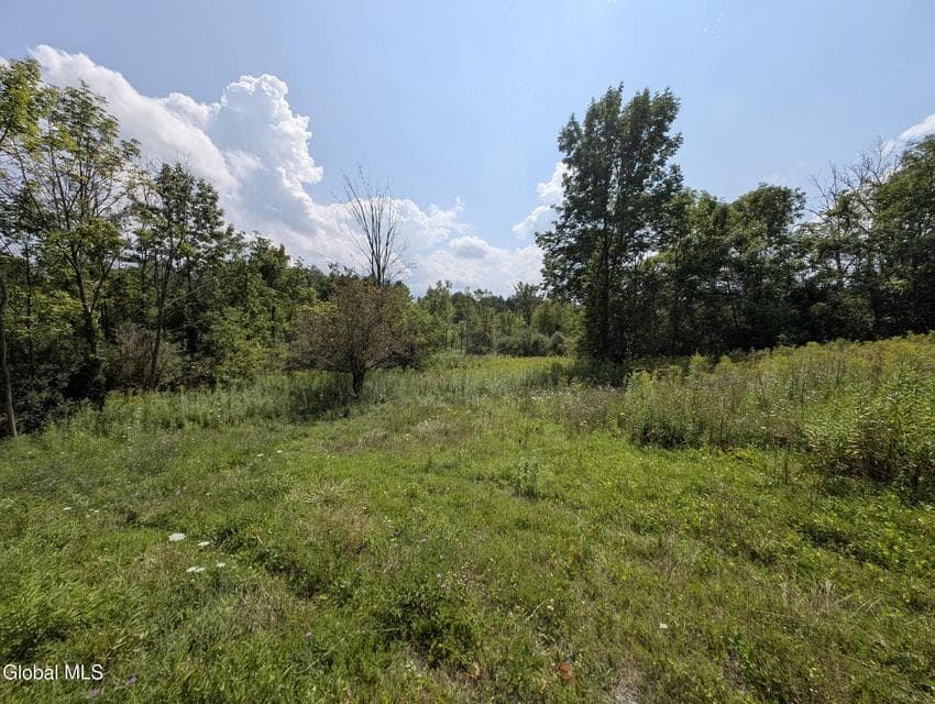 7593 Western Turnpike, Duanesburg, NY, photo 1