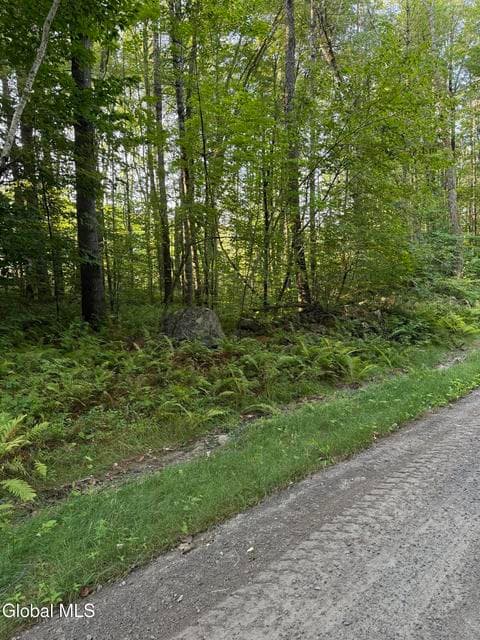 356 Dickinson Hill Road, Bolton, NY, photo 4