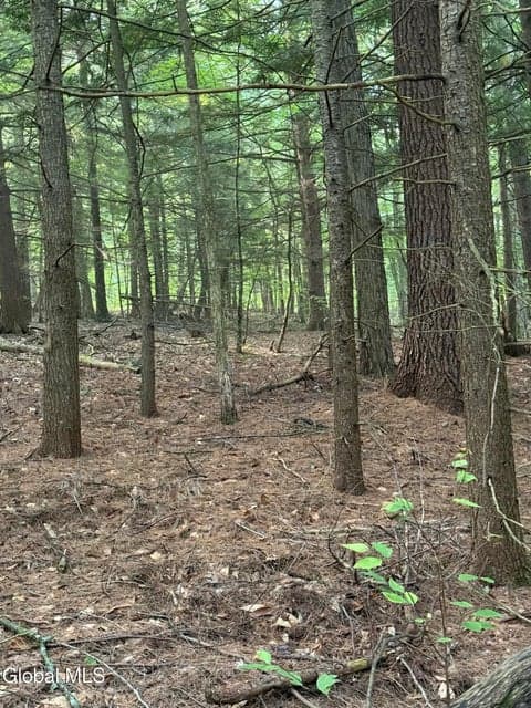 344 Dickinson Hill Road, Bolton, NY, photo 1