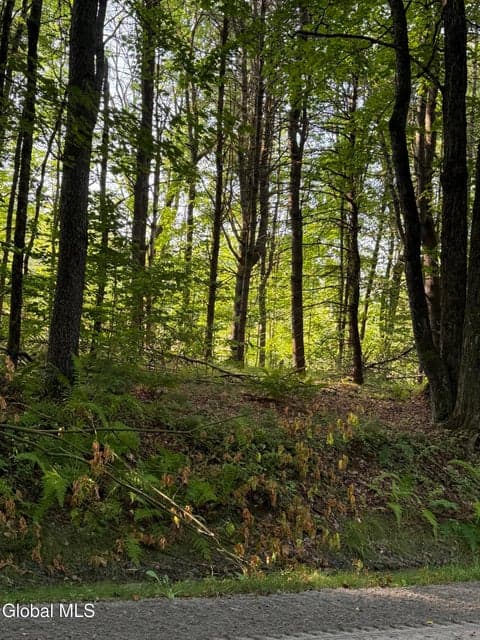 344 Dickinson Hill Road, Bolton, NY, photo 2