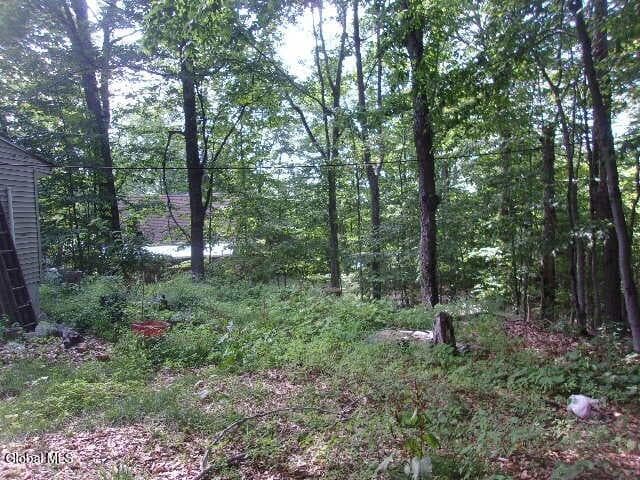 12 Delavan Avenue, Greenfield, NY, photo 4