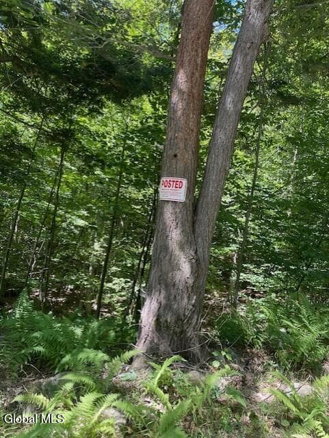 L 11 Horse Hill Rd. Rear Road, Edinburg, NY, photo 1