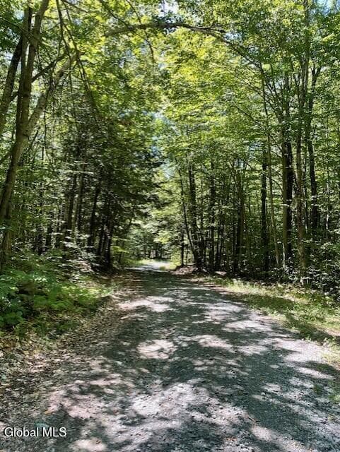 L 11 Horse Hill Rd. Rear Road, Edinburg, NY, photo 3