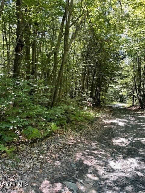 L 11 Horse Hill Rd. Rear Road, Edinburg, NY, photo 4