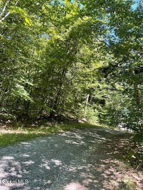 L 11 Horse Hill Rd. Rear Road, Edinburg, NY, photo 5