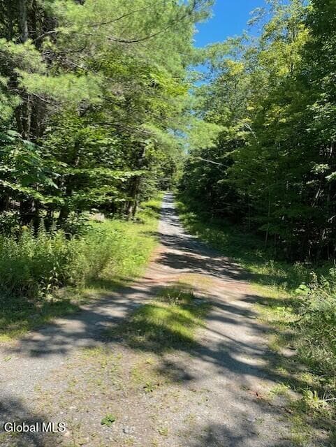 L 11 Horse Hill Rd. Rear Road, Edinburg, NY, photo 2