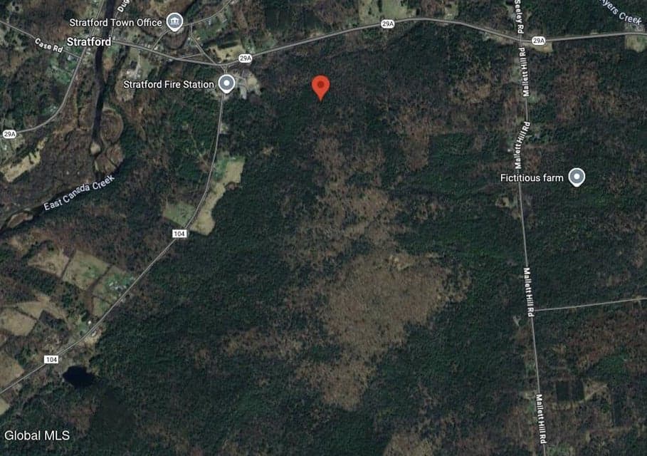 L13 State Highway 29A, Stratford, NY, photo 1