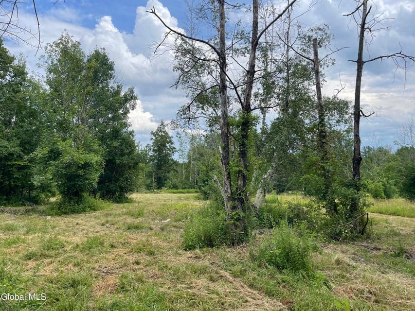 L19.14 Wagner Road, Glenville, NY, photo 3