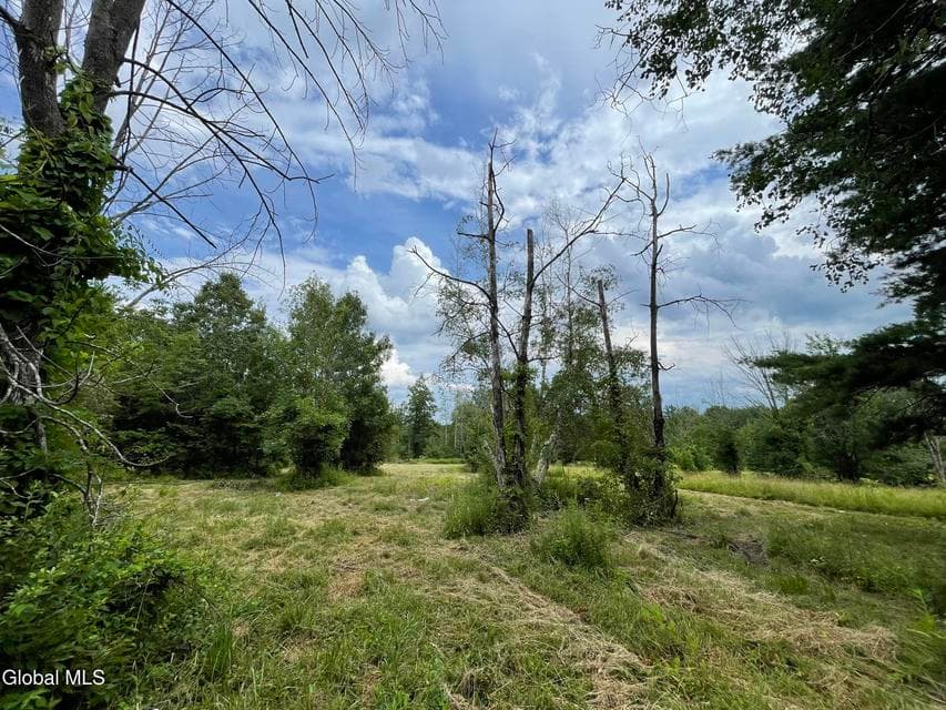 L19.14 Wagner Road, Glenville, NY, photo 4