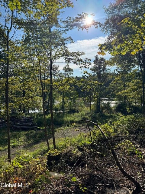L2 High Rock Road, New Baltimore, NY, photo 1