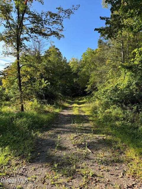 L2 High Rock Road, New Baltimore, NY, photo 3