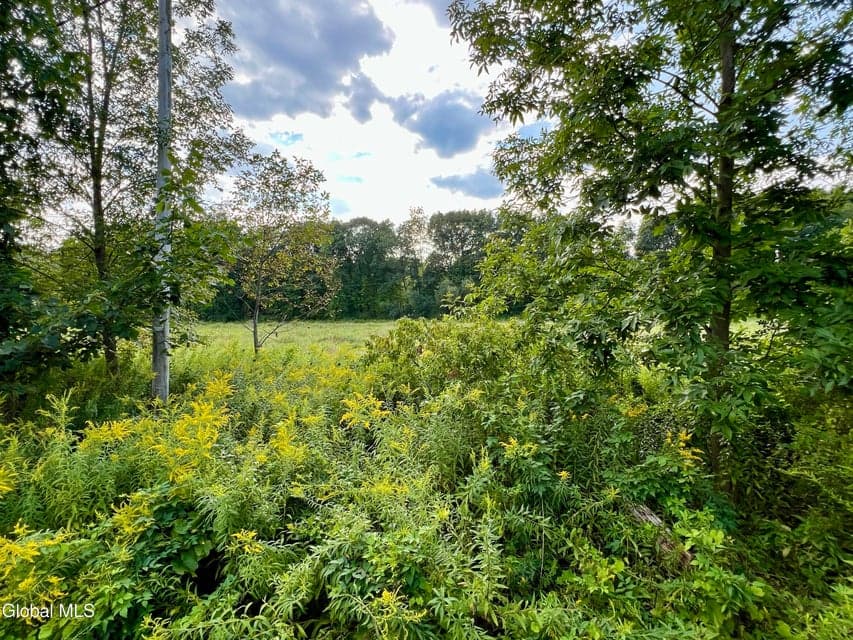 1435 W River Road, photo 5
