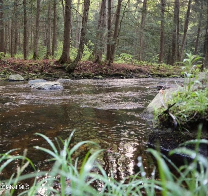 L21.11 Black River Road, photo 5