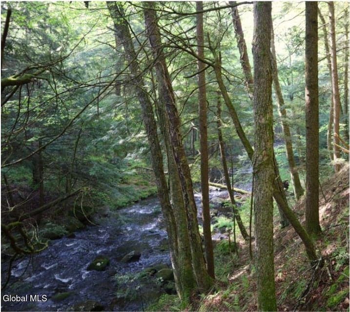 L21.11 Black River Road, photo 4