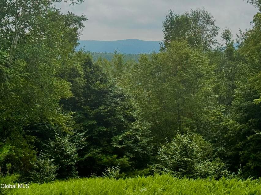 L21.11 Black River Road, photo 1