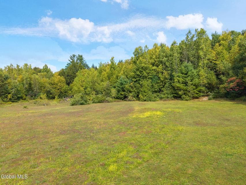 L113 Upper Hemlock Ridge Way, Stephentown, NY, photo 4