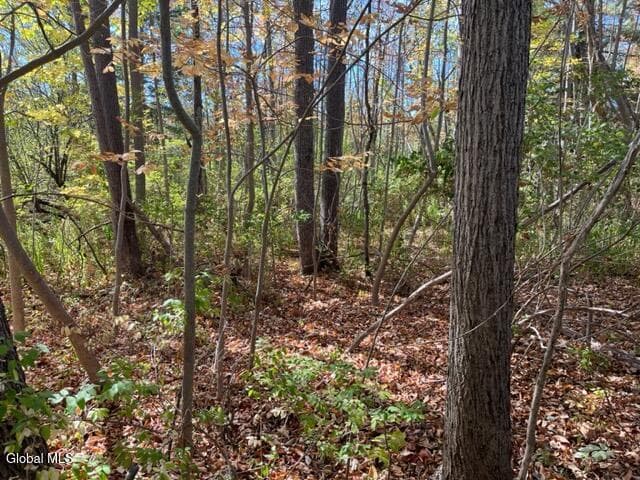 L27 Duanesburg Road, Duanesburg, NY, photo 5