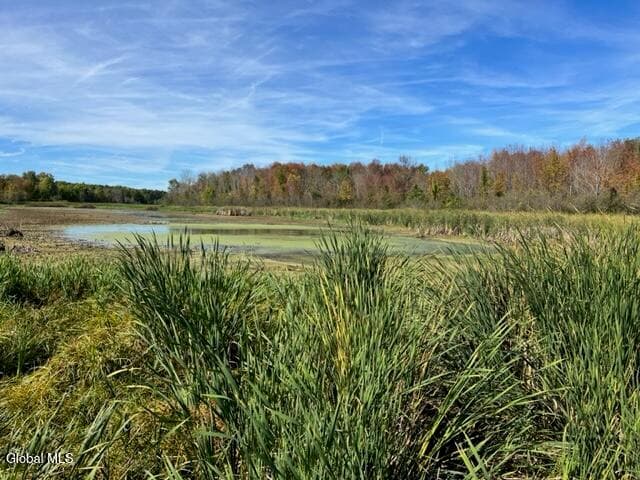 L27 Duanesburg Road, Duanesburg, NY, photo 2