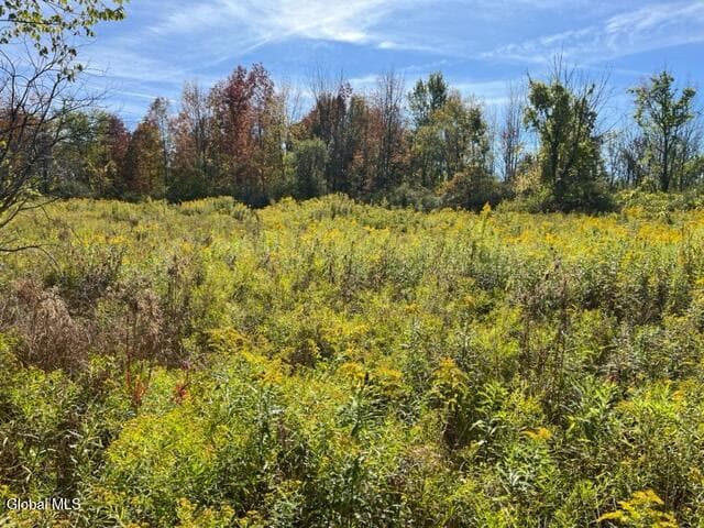 L27 Duanesburg Road, Duanesburg, NY, photo 1